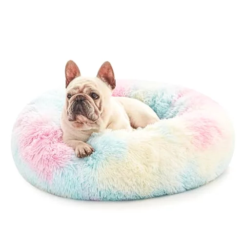 Love's Cabin Calming Cat Bed in Rainbow