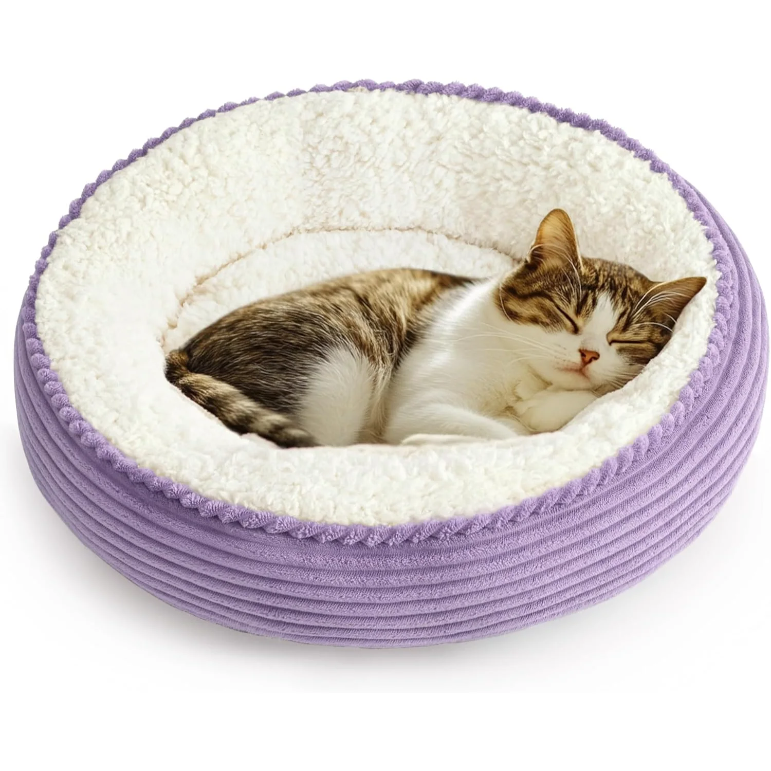 Love's Cabin Pet Comfort