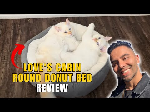 An independent look at the round donut pet bed